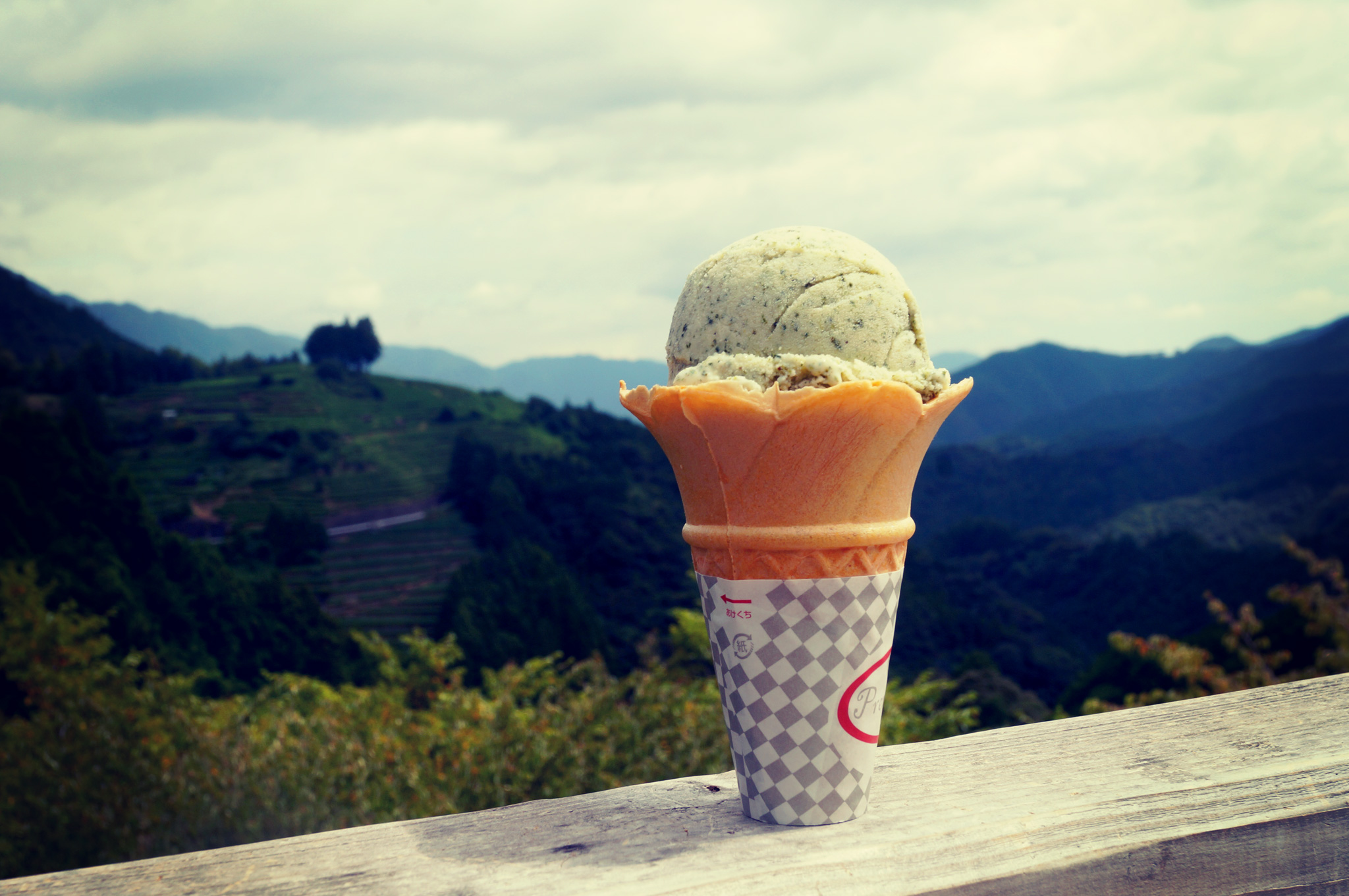 道の駅布施ヶ坂地元のアイスクリーム　お茶畑を見ながら