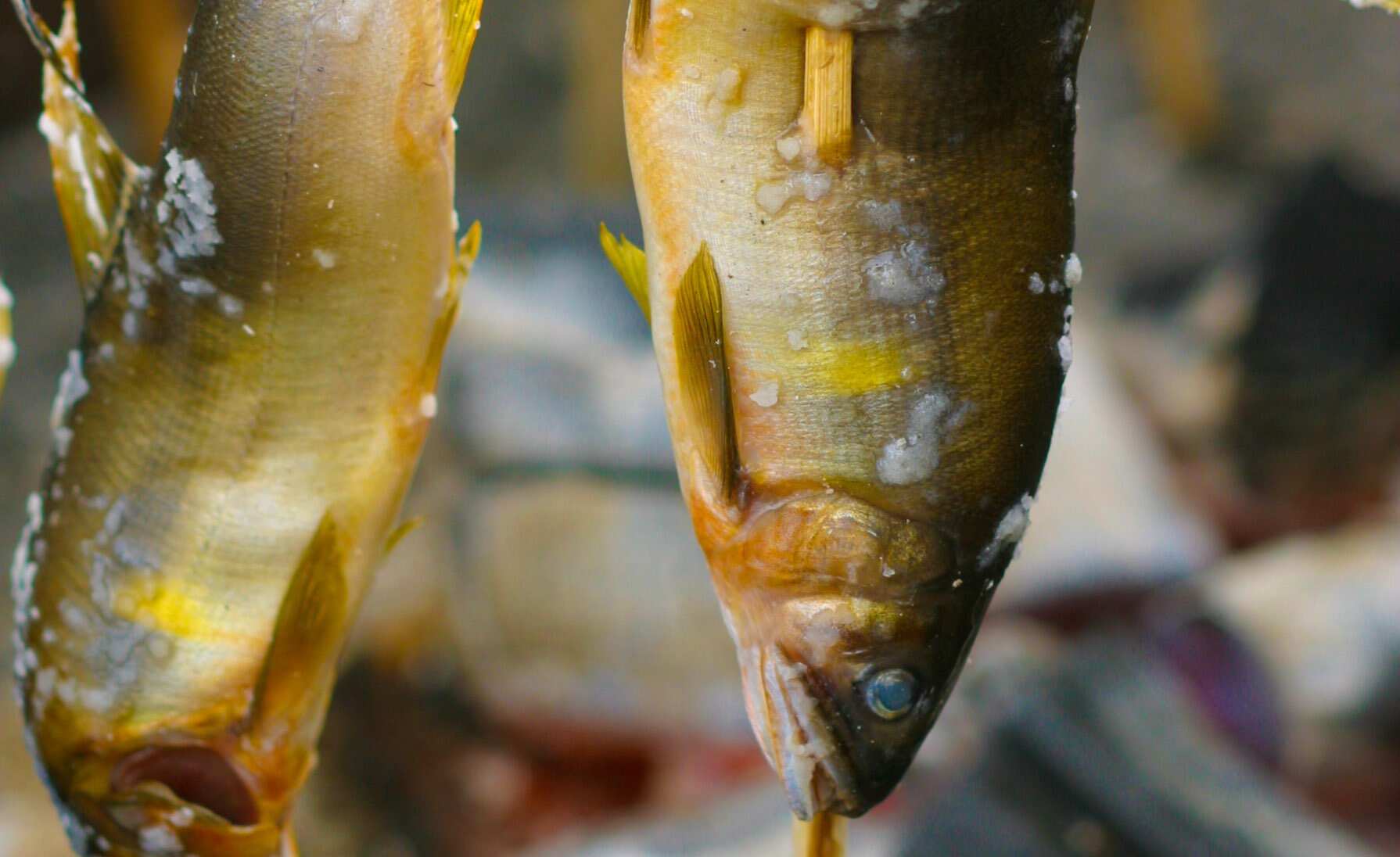 Japanese Trout Dishes