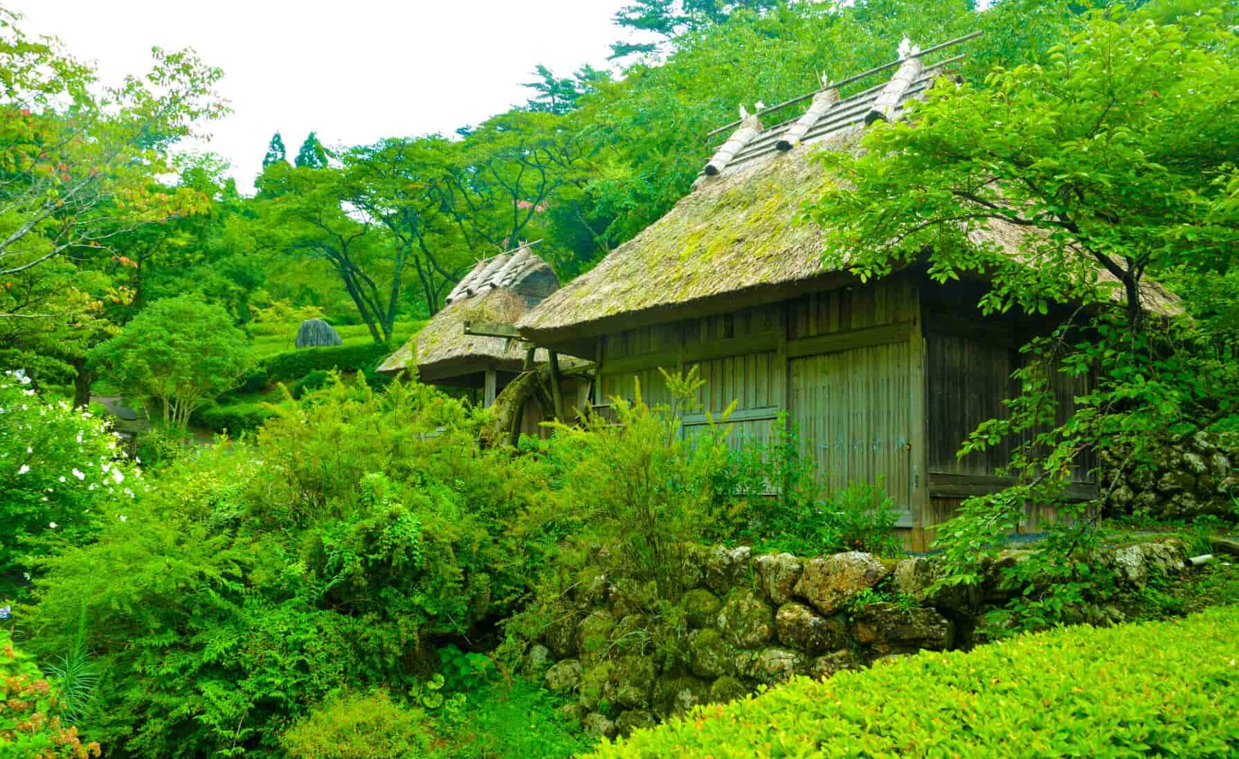 奧四萬十的山村