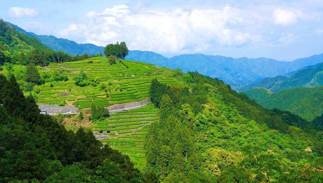 The Mountains of Oku Shimanto