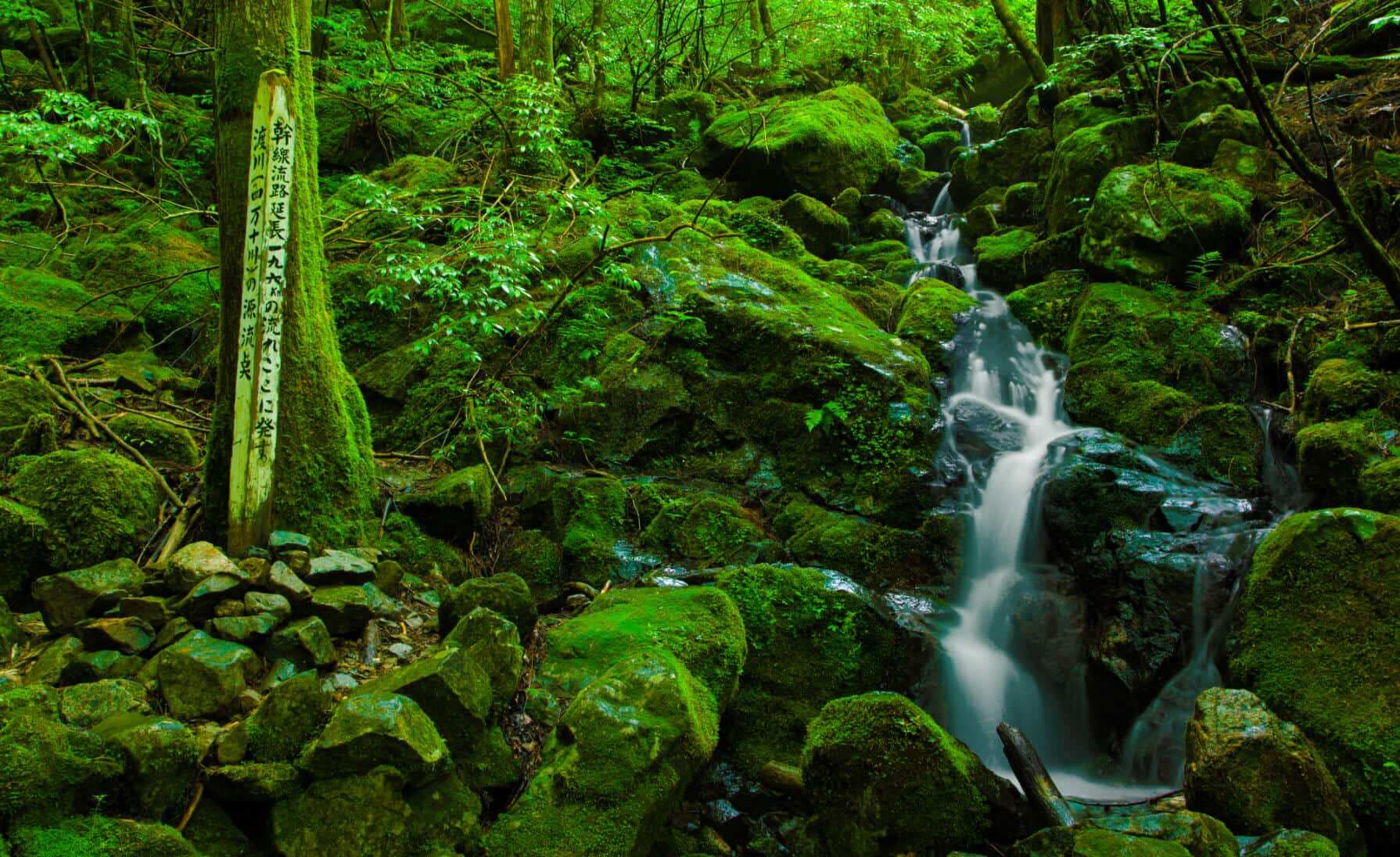 Headwaters of the Great River