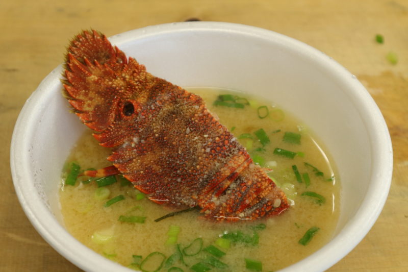 上ノ加江の海鮮をまるごと食べつくせ‼5月3日（木・祝）は”海鮮祭り”