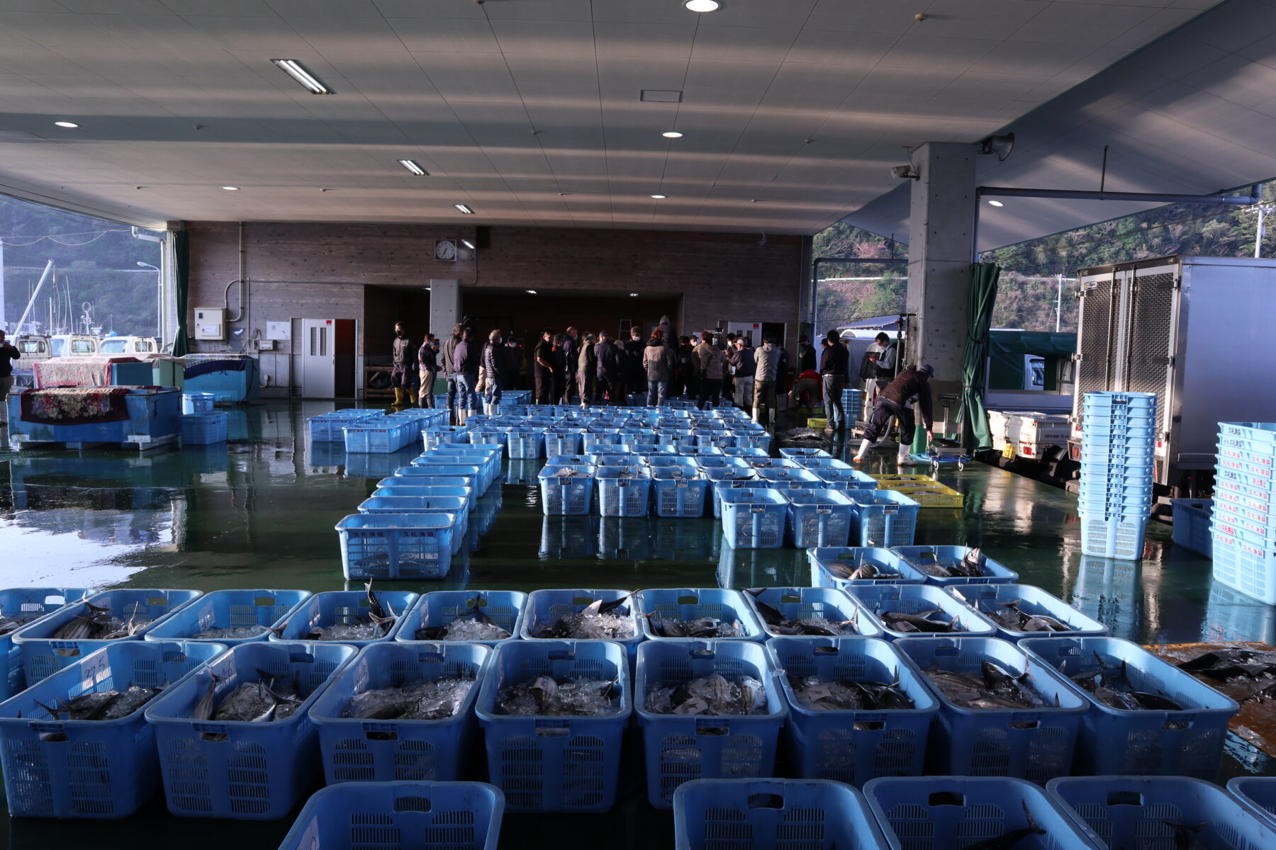 久礼の港に初ガツオの水揚げが始まりました 奥四万十時間 高知県奥四万十エリアの観光ガイド