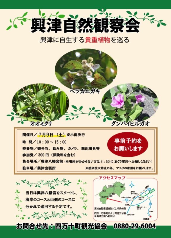 興津で植物観察会