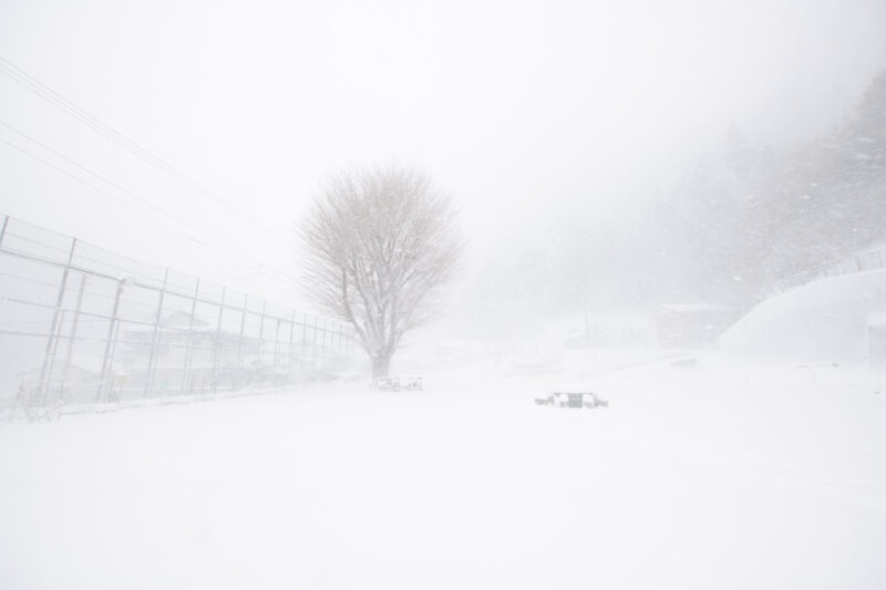 津野町の雪景色