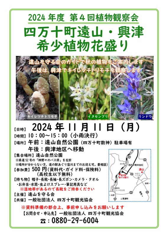 第4回　植物観察会