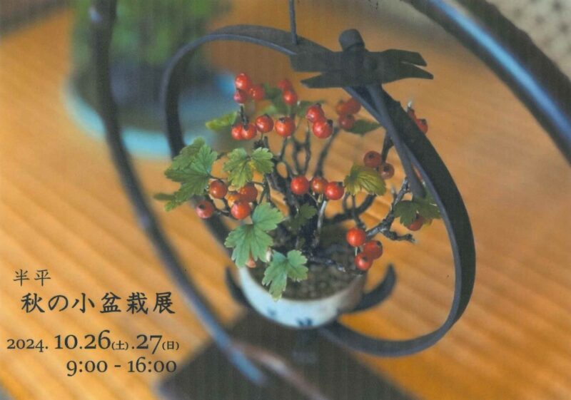 古民家カフェ 半平　秋の小盆栽展