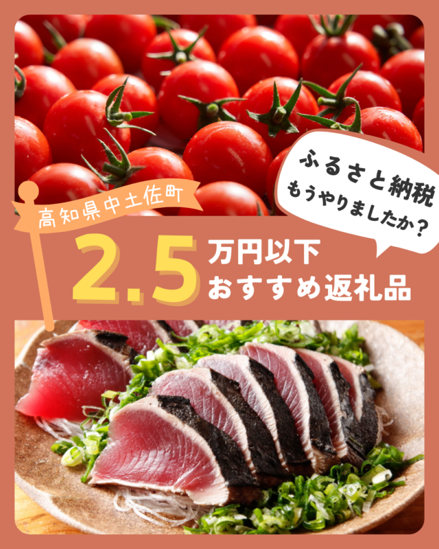 中土佐町ふるさと納税　2.5万円以下おすすめ返礼品7選