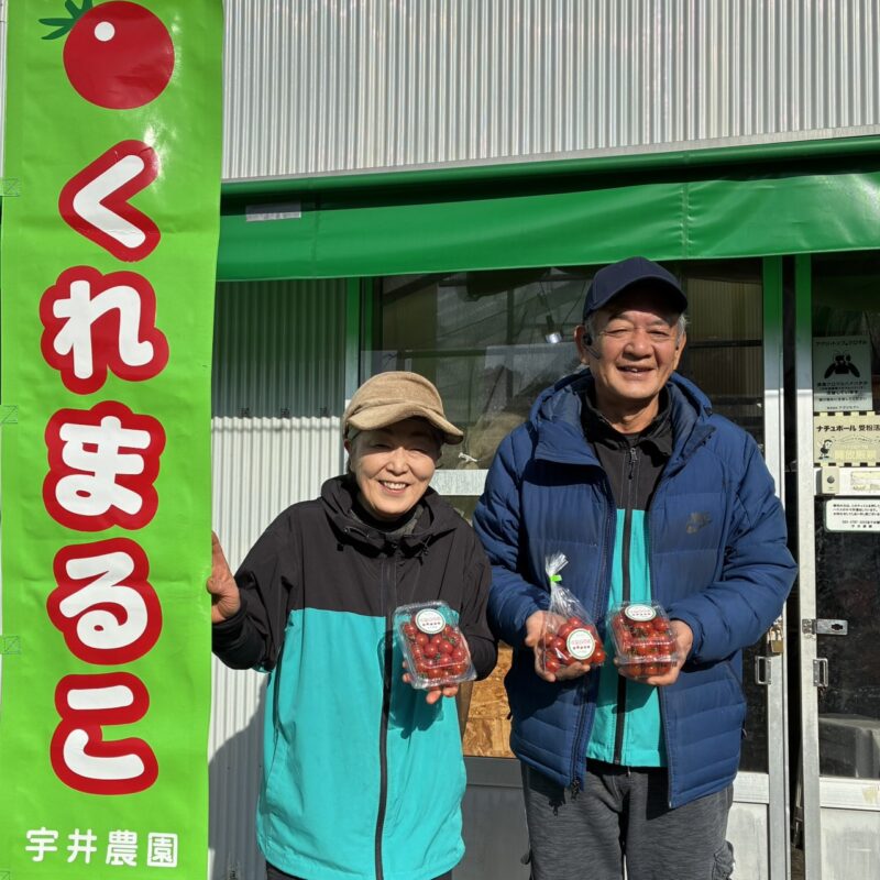 甘い！うまい！宇井農園のフルーツミニトマト「くれまるこ」🍅