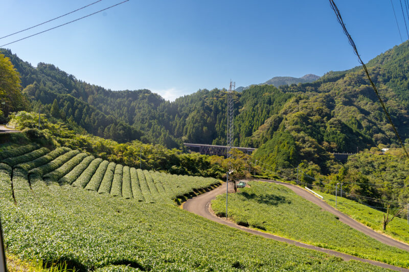 10月のツノトゥクは、布施ヶ坂から茶畑をめぐる小さな旅